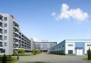 松江区宠物猫咪定制选购建议