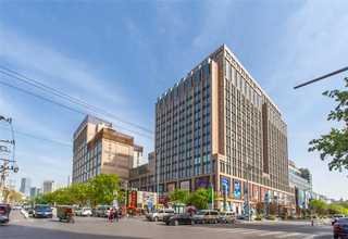 宝山区双孢菇厂家