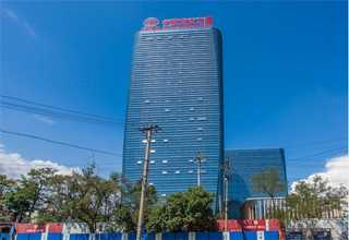 上海体育场篮球培训排行榜